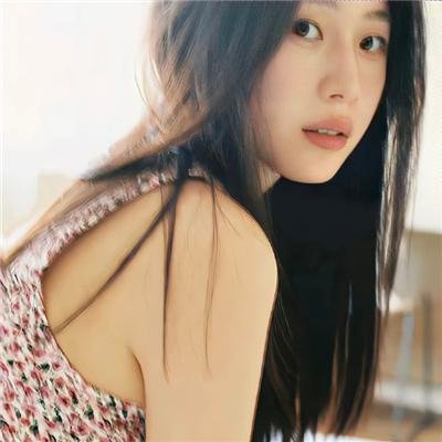 光荣之路上的狗