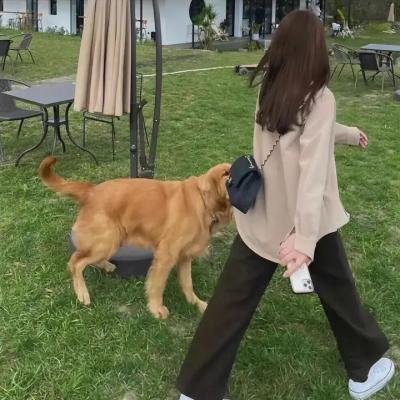 人皮杀手