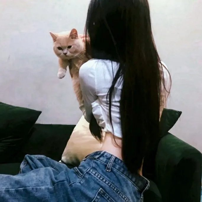 双面艾莉丝