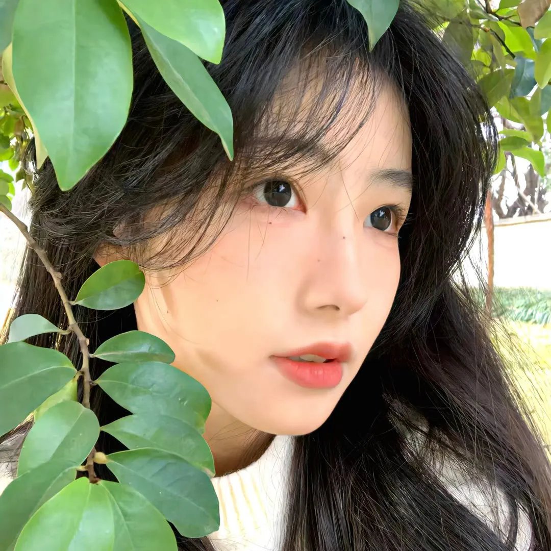 傻乎乎的宣言
